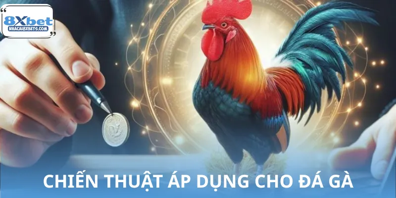 Thủ thuật chơi cá cược bộ môn đá gà cựa dao