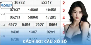 Cách Soi Cầu Xổ Số 8XBET Chuẩn Xác Nhất